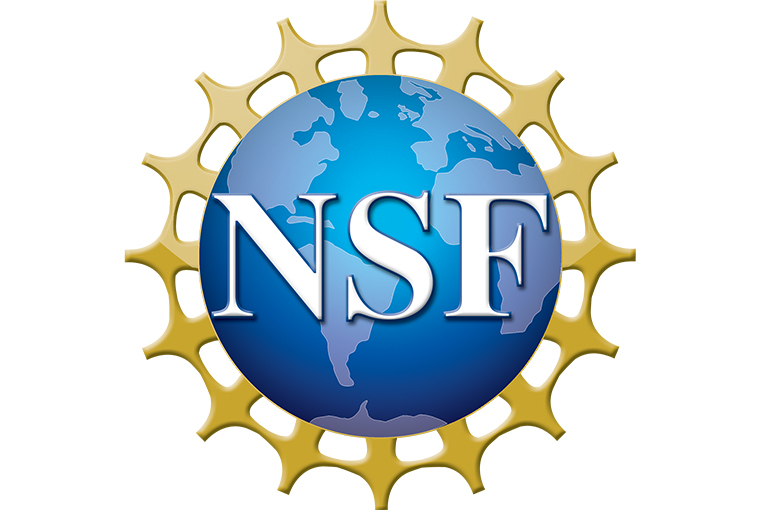 NSF Grant to Fund STEM Education Scholarships Hood College